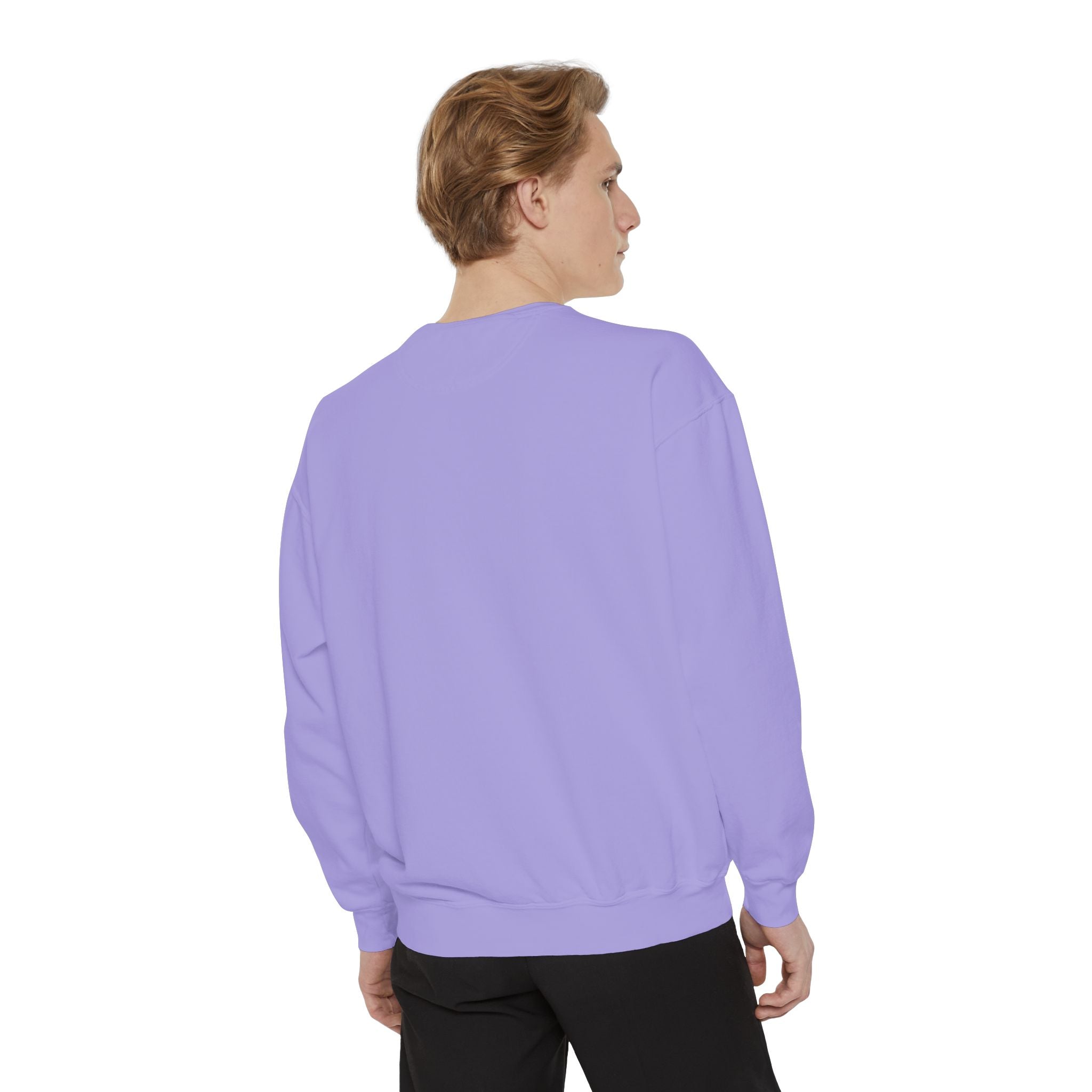 Classic White Sweatshirt — Minimalist Crewneck Pullover