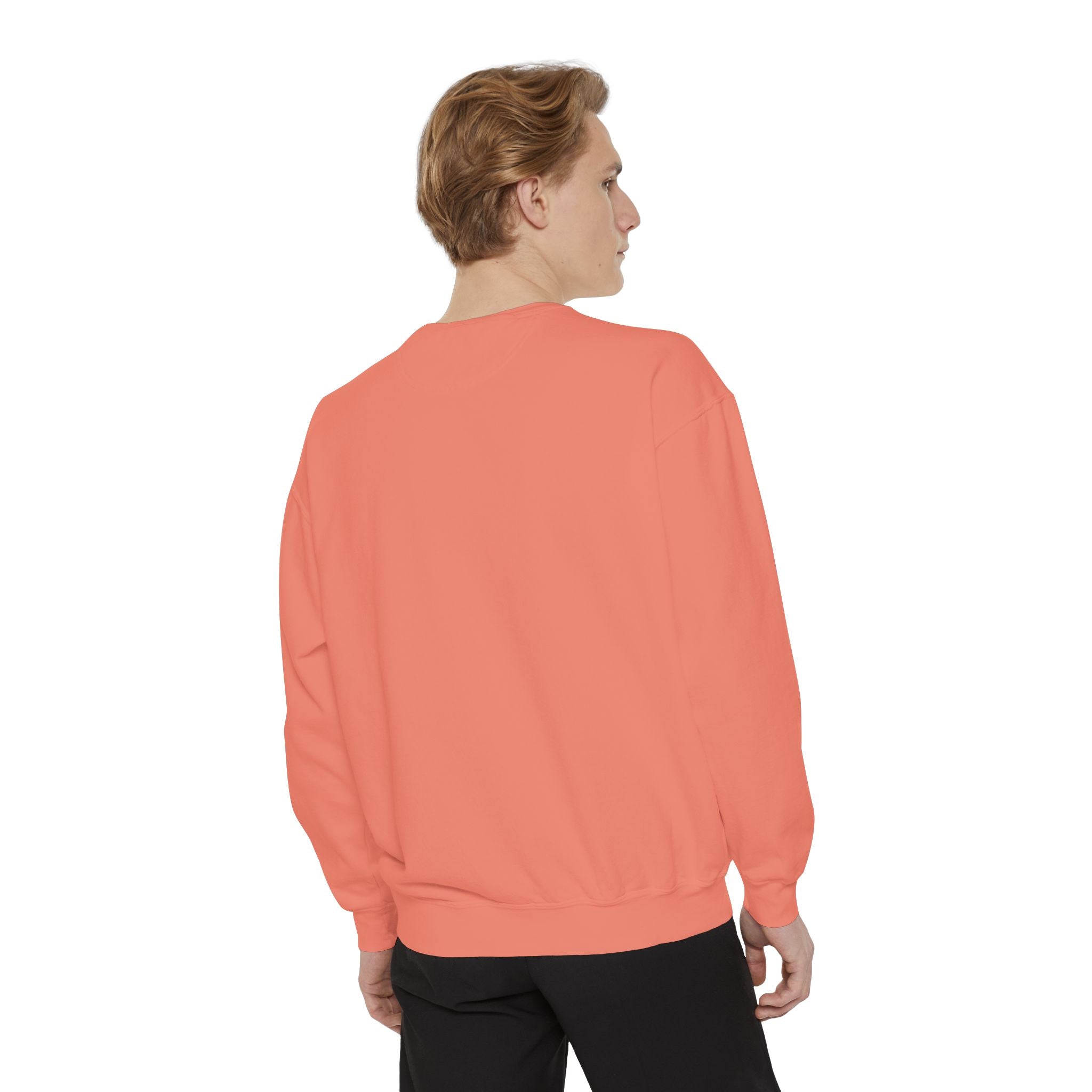Classic White Sweatshirt — Minimalist Crewneck Pullover