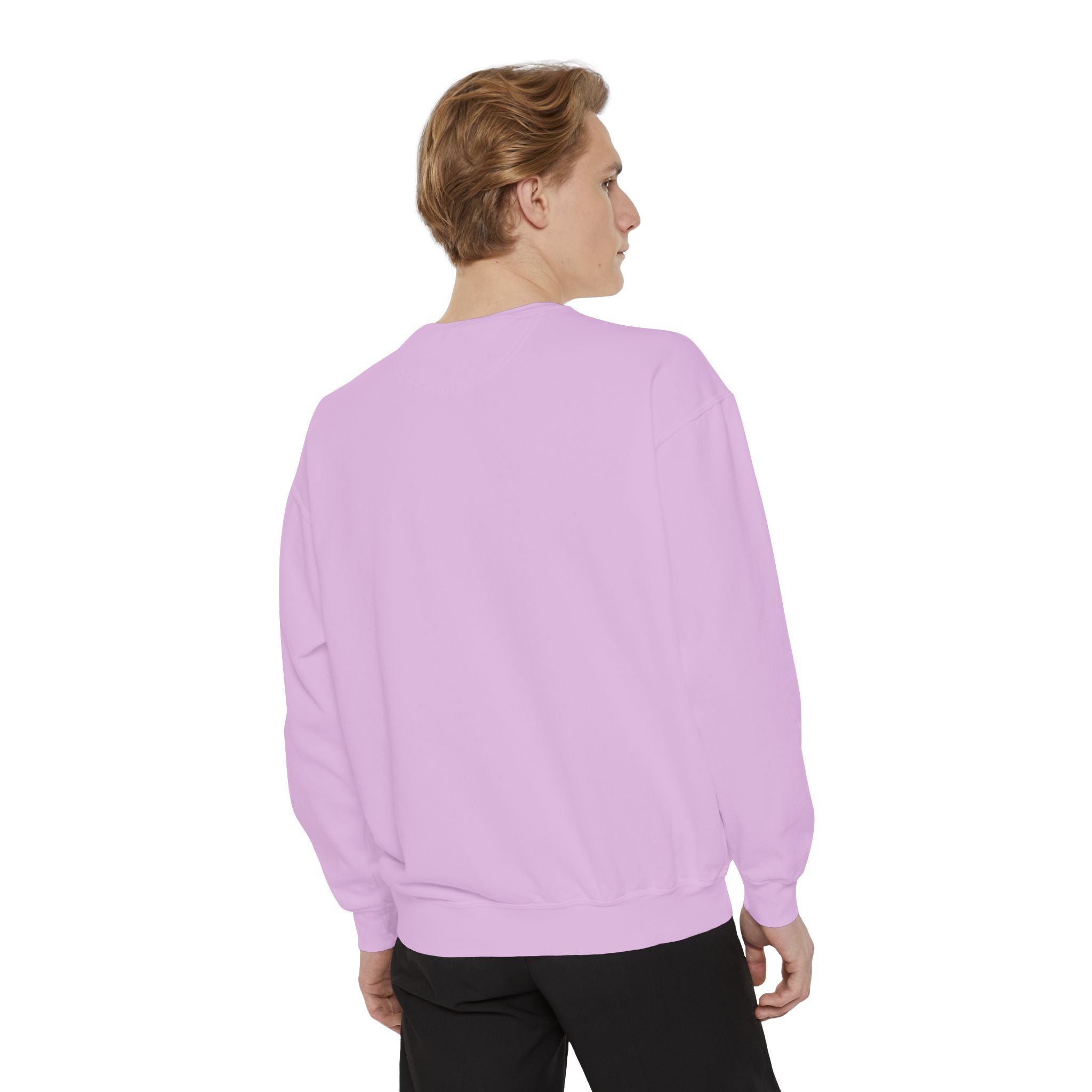 Classic White Sweatshirt — Minimalist Crewneck Pullover